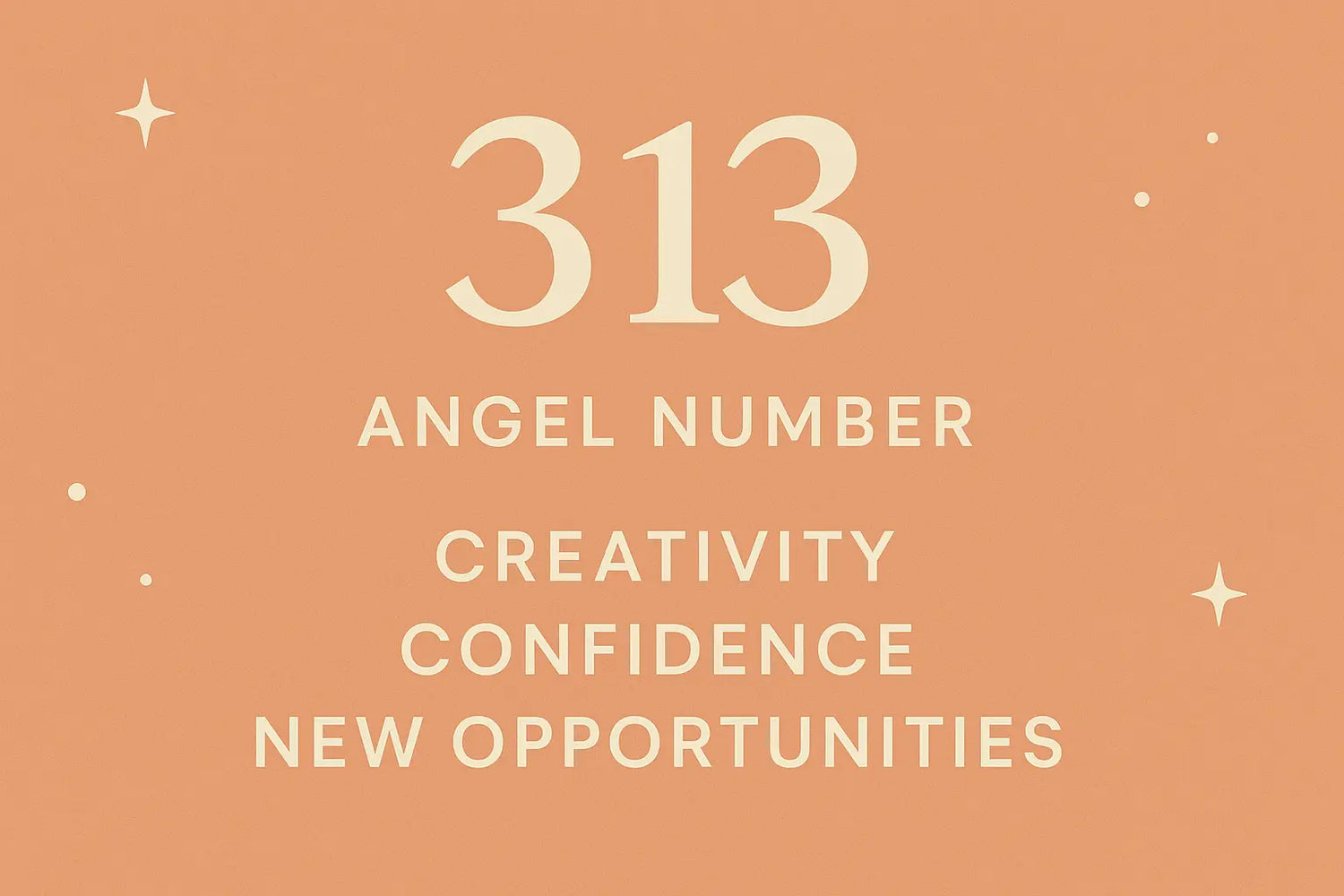 313 Angel Number cover with centered text on peach-orange background and star accents